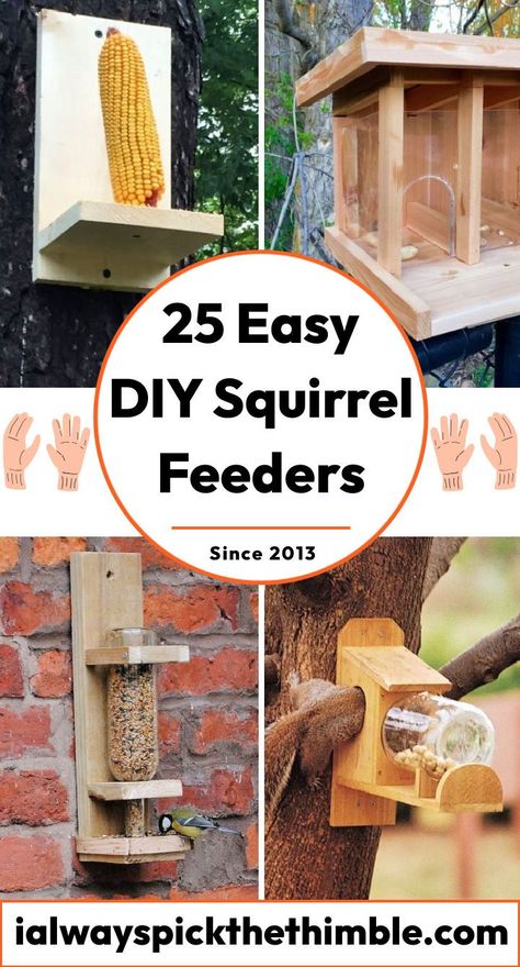 Squirrel Houses Diy, How To Make A Squirrel House, How To Make A Squirrel Feeder, Squirrel Home Diy, How To Build A Squirrel Feeder, How To Build A Squirrel House, Easy Diy Bird Feeder Homemade, Squirrel Feeder Ideas, Squrriel House Ideas