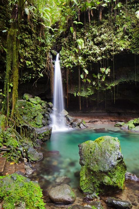 Tiny island of Dominica is the Caribbean's best kept holiday secret - Mirror Online Tiny Island, Koh Chang, Island Destinations, Desert Island, Caribbean Travel, Koh Tao, Island Vibes, Paradise Island, Island Travel