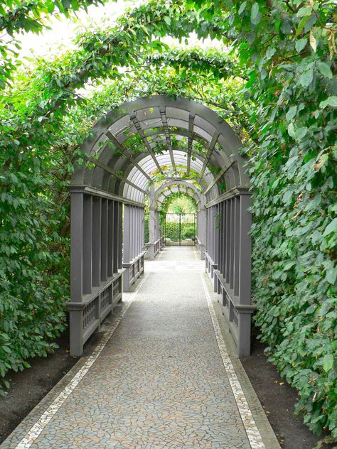 Mosaic Pathway, Landscaping Features, Georgian Design, Hamilton New Zealand, Garden Archway, Estate Gates, Sunshine Coast Australia, Outdoor Walkway, Covered Walkway