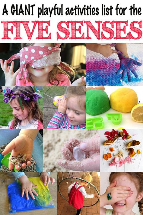 This GIANT list of activities will have you exploring the senses of taste, touch, smell, sight and hearing and having a fabulous time as you do so! Preschool Senses, Five Senses Activities, 5 Senses Preschool, Five Senses Preschool, Activities List, 5 Senses Activities, Senses Preschool, My Five Senses, Senses Activities