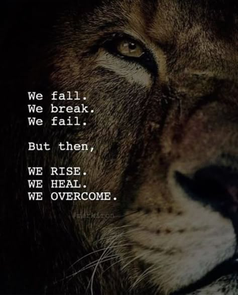 Lion Quotes, Warrior Quotes, Inspiring Quotes, Favorite Quotes, Wise Words, The Words, So True, Positive Quotes, Words Of Wisdom