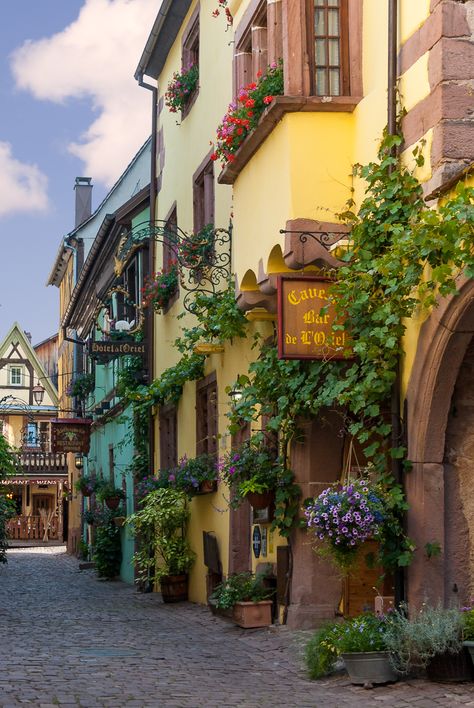 Riquewihr France, Alsace France, Beaux Villages, Colmar, Alsace, Pretty Places, France Travel, Places Around The World, Travel Aesthetic