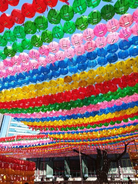 Are very beautiful but very small Jogyesa Temple, South Korea Travel, Korea Travel, Seoul South Korea, Art Installations, Seoul Korea, Rainbow Art, Installation Art, Event Design