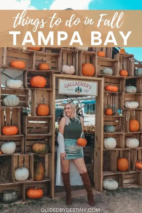 There’s so many unique festivals and things to do in Tampa Bay this fall, I’ve put together this guide of the best things to do in Tampa Bay in the fall with some of the best fall festivals in the US, don’t miss these fall things to do in Florida if you’re planning places to visit in fall USA. For Florida fall trips and Florida in the fall inspo, don’t miss these Florida fall activities in Tampa Bay. Things To Do In Tampa, Things To Do In Florida, Florida Fall, Best Pumpkin Patches, Southern Sweet Tea, Florida Weather, Fall Festivals, Fall Things, Fall Events