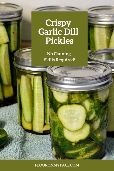 Crispy Dill Pickles, Pickles Homemade Easy, Canning Pickles Recipe, Refrigerator Dill Pickles, Making Dill Pickles, Refrigerator Pickles Dill, Garlic Dill Pickles, Easy Pickling Recipes, Homemade Pickles Dill