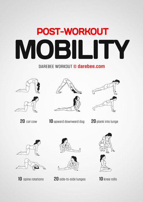 Mobility Workout, Quick Workout Routine, Workout Without Gym, Gym Routine, Body Workout Plan, Home Workouts, At Home Workout Plan, Gym Workout Tips, Flexibility Workout