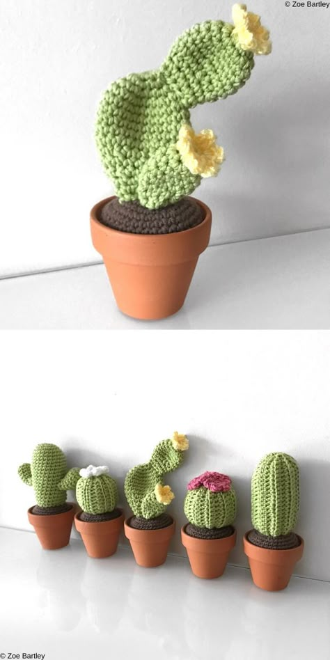 Crochet Cactus Free Pattern, Crochet Succulent, Crochet Cactus, Pola Amigurumi, Cozy Crochet, Crochet Plant, Crochet Butterfly, Crochet Amigurumi Free, Top Ideas