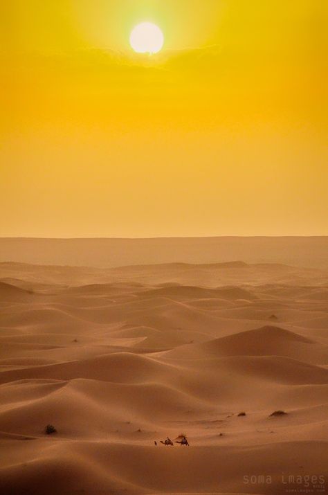 Yellow skies | The sun works it's way toward setting, creati… | Flickr Heavenly Virtues, Merzouga Morocco, Sci Fi Aesthetic, Desert Morocco, Desert Aesthetic, Sun Aesthetic, Twilight Photos, Desert Colors, Yellow Sky