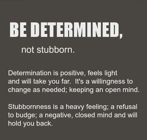 65 Quotes about Being Stubborn | Stubbornness Sayings & Images Stubborn Quotes, Quotes About Moving On From Love, Philosophical Quotes About Life, Stubborn People, Determination Quotes, Philosophical Quotes, Sharing Quotes, Quotes About Moving On, People Quotes