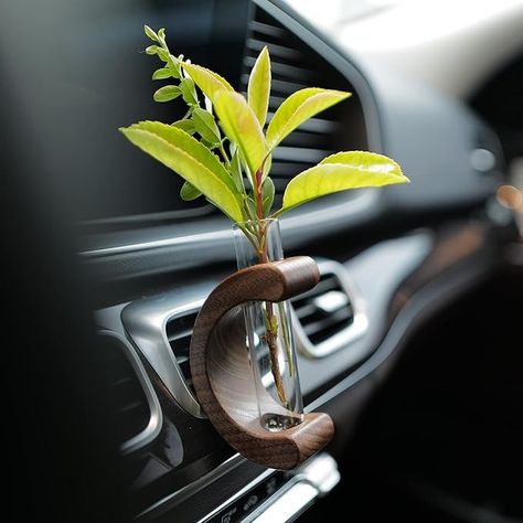 Amazon.com: INEBIZ Little Glass Flower Vase Clip with Retro C Wooden Stand for Car Air Vent Decor Plant Holder Terrarium Auto Interior Dash Decorations Ornament : Automotive Car Vase, Plant Breeding, Wooden Brackets, Glass Flower Vase, Glass Flower Vases, Black Walnut Wood, Room Smells, Wood Vase, Car Dashboard