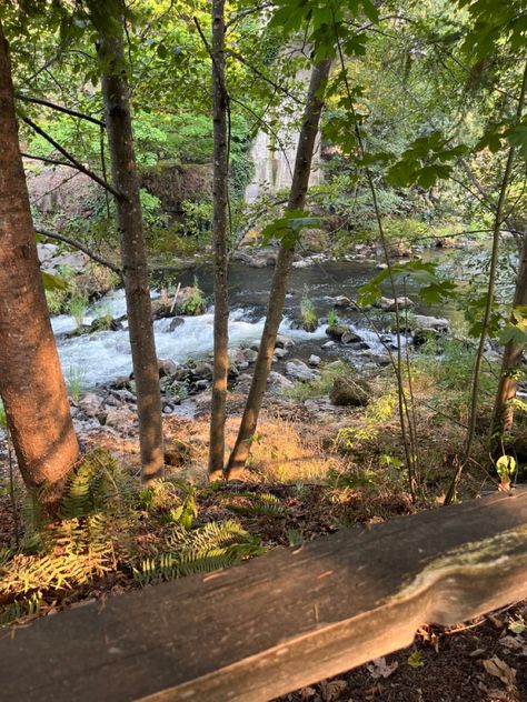 nature, hike, waterfalls, tumwater, olympia, washington Olympia Washington, Olympia, Washington, Hiking