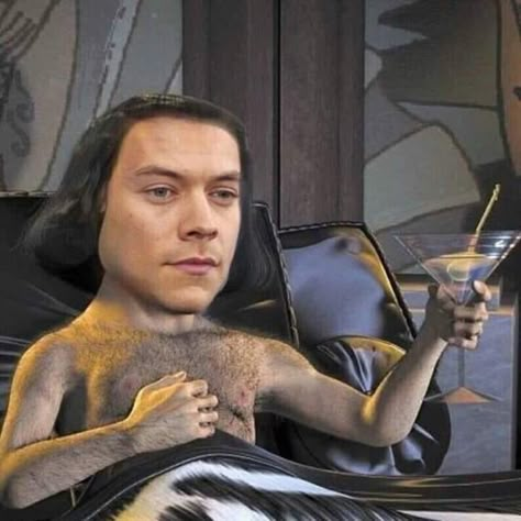 Harry Styles Memes, Harry Styles Funny, One Direction Humor, Harry Styles Pictures, One Direction Memes, Funny Profile, Harry Styles Photos, Very Funny Pictures, Funny Profile Pictures