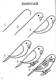 How To Draw Birds, Draw Birds, Bird Doodle, Easy Drawing Tutorial, Easy Drawings For Kids, Easy Doodle Art, Easy Doodles Drawings, Drawing Tutorial Easy, Cute Easy Drawings