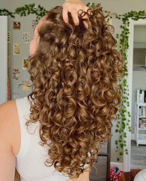 Curly Hair Cut, Quantity Surveyor, Perfect Curly Hair, Hair Aesthetics, Curly Haircut, Back Braid, Dyed Curly Hair, Natural Curly Hair Cuts, Highlights Curly Hair