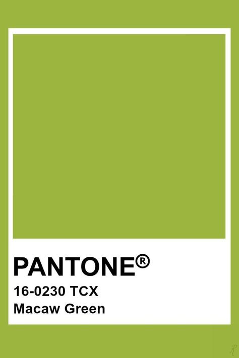 2019-2020 Spring Summer "Optimist" Macaw Green Green Pantone, Pantone Tcx, Pantone Green, Pantone Color Chart, Pantone Swatches, Pantone Palette, White Grape, Pantone Colour Palettes, Grape Color