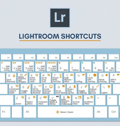 Lightroom has more than 300 shortcuts that can make your life a bit easier, speed up your workflow and save the most valuable resource - your time. However, it’s pretty hard to remember all of them unless you have a photographic memory. Using these shortcuts you'll be able to work more efficient and faster. Lightroom is a very user-friendly tool - you can take any actions in several different ways. All these actions you can also find in a sidebar or the main menu, so don’t be afraid if you ... Lightroom Cheat Sheet, Lightroom Editing Cheat Sheets, Workflow Infographic, Lightroom Basics, Lightroom Shortcuts, Memory Photography, Photographic Memory, Photography Timeline, Mindful Moments