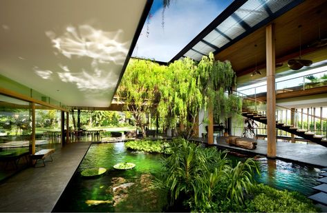 Olive House, Geothermal Energy, Natural Swimming Pool, Aluminum Roof, Roof Structure, Ponds Backyard, Green Photo, Eco House, Eco Friendly House