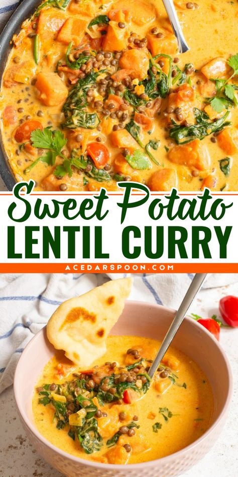 In the cooler months this Sweet Potato Lentil Curry will warm you up. Sweet potatoes, vegetables and lentils are simmered in broth, coconut milk, warm spices, and finished off with fresh herbs. This is an easy curry dish to make and perfect for a weeknight meal with a salad and naan bread. Sweet Potato Lentil Stew, Lentil And Potato Curry, Sweet Potato And Lentil Stew, Red Lentil Sweet Potato Curry, Sweet Potato Coconut Curry, Sweet Potato Lentil Coconut Curry, Sweet Potato Lentil Curry, Vegetarian Crockpot Recipes, Crock Pot Potatoes