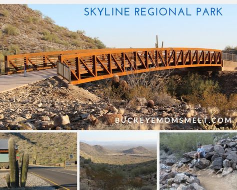 Buckeye Moms Meet: Park opens in Buckeye, Arizona!!  Skyline Regional... Buckeye Hot Springs, Buckeye Arizona, Munds Park Arizona, Sliding Rock Sedona, Ohiopyle State Park, The Great Migration, Arizona Travel, Sydney Harbour Bridge, Adventure Travel