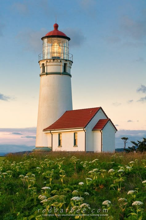 Lighthouses Photography, Life Drawing Reference, Lighthouse Photos, Reference Photos For Artists, Lighthouse Painting, Lighthouse Pictures, Beautiful Lighthouse, Painting References, House Portraits