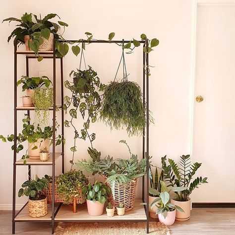 The Warehouse on Instagram: “Garment rack or plant stand? Either way, we're in love 💚🌱🙌 @plantprojectnz” Plant Stand Apartment, Plant Stand Ideas Indoor Living Rooms, Clothes Rack Plant Stand, Industrial Plant Stand, Clothing Rack Plants, Renter Friendly Plant Display, Plant Stands For Large Plants, Hanging Plant Stand Indoor, Wall Plant Stand