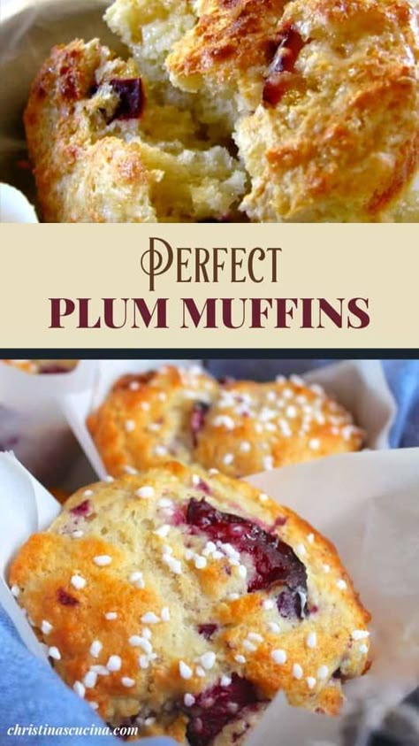 Plum Oat Muffins, Plum Muffins Healthy, What To Make With Fresh Plums, Purple Plum Recipes, Plum Muffins Recipe, What To Make With Plums, Plum Recipes Dinner, Dried Plum Recipes, Plum Muffins