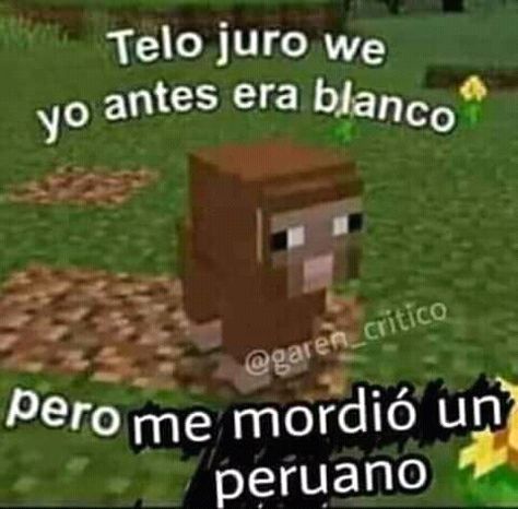 Rosé Meme, Love My Best Friend, Funny Spanish Memes, Minecraft Wallpaper, Minecraft Funny, Minecraft Memes, Spanish Memes, Spanish Humor, Meme Stickers