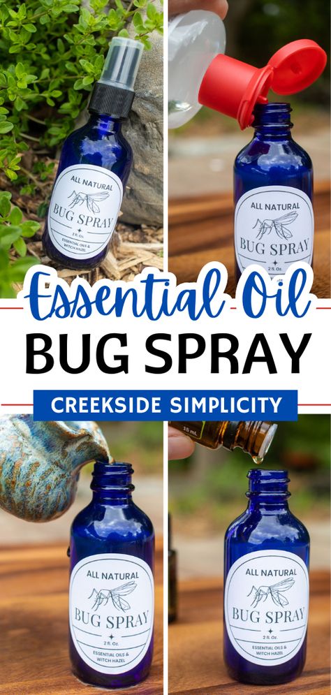 Make this simple essential oil bug spray with witch hazel, and your choice of essential oils. Protect yourself from mosquitoes, black flies, ticks, and more - without using harmful, toxic chemical bug sprays.   Includes a free printable bug spray label! Vanilla And Water Bug Spray, Home Made Bug Repellent Spray, Homemade Bug Spray Essential Oils, Bug Spray Essential Oils, Homemade Bug Spray Recipe, Essential Oils Witch, Natural Bug Spray Recipe, Essential Oil Bug Spray, Homemade Bug Spray