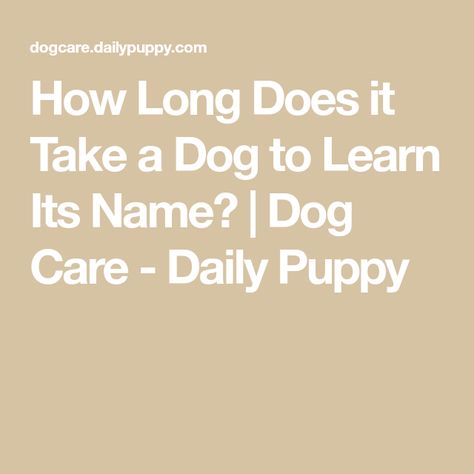 Puppy Training Timeline, Puppy Eating Schedule, Introducing Puppy To Dog, New Puppy Schedule While Working, How To Teach A Puppy Its Name, One Syllable Names, Get His Attention, Name Train, Positive Dog Training