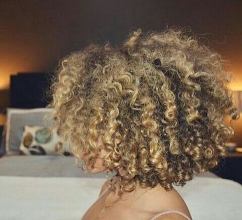 Light Brown 3b Curly Hair, Natural Hair Honey Blonde Highlights, Honey Brown Short Curly Hair, Blonde 4b Hair, Blonde 3c Hair, Curly Hair Colours, Short Curly Hair Blonde, Sybill Trelawney, Blonde Natural Hair