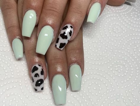 Mint Green Cow Print Nails, Green Cow Print Nails, Nail Designs Cow Print, Green Cow Print, Cow Print Nails, Mint Nails, Country Nails, 2024 Nails, Print Nails