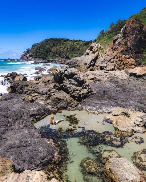 18 incredible things to do in Port Macquarie that have the wow factor — Walk My World Sea Cave, Port Macquarie, Uni Life, Rock Pools, Swimming Holes, Road Trippin, Big Tree, Picnic Area, Byron Bay