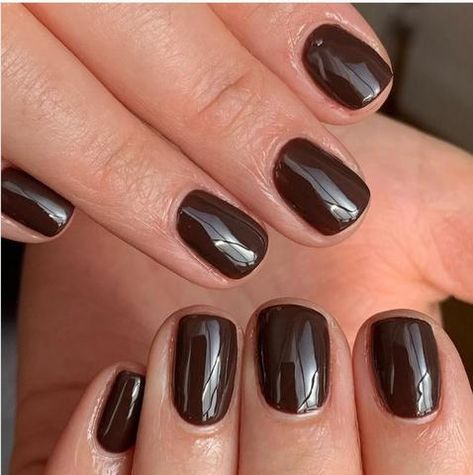 Brown Nail Short, Chocolate Brown Nails Short, Short Dark Colored Acrylic Nails, Chocolate Brown Short Nails, Short Square Round Nails Brown, Short Squoval Acrylic Nails, Dark Short Nails, Short Dark Nails, Brown Nails Short