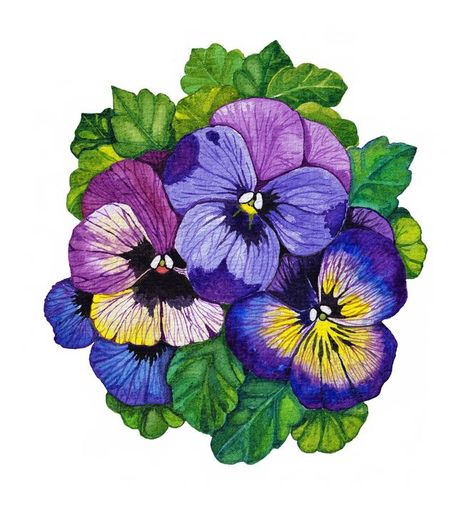 Pansies Painting, Pansies Art, Flowers In Watercolor, Plant Drawings, Rainbow Cactus, Cactus Paintings, Pansy Flowers, Plants Cactus, Plants Leaves