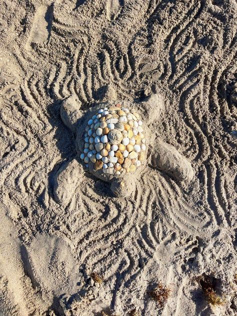 Shells, sand caste, sand turtle, Coconut girl, summer, beach aesthetic, vacation, summer, beach, friends, Florida, palm beach Sand Turtle, Summer Beach Friends, Happiness Aesthetic, 2025 Vibes, Summer Beach Aesthetic, Coconut Girl Summer, Aesthetic Vacation, Beach Friends, Beach Stuff