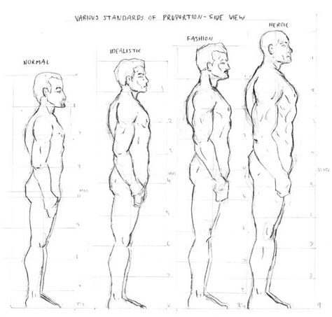 How To Draw Males Bodies, Figure Construction, How To Draw Bodies, Human Proportions, Male Body Drawing, Side View Drawing, Art Anatomy, Body References, Cartoon Drawings Of People