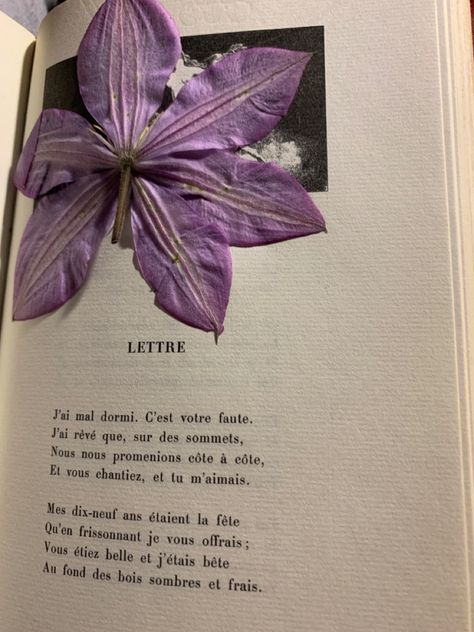 Flowers, Pressed, Pressed Flowers, Book, Victor Hugo, Hugo, Poet, French Pressed Flowers Book, Flowers Pressed, Victor Hugo, Pressed Flower, Pressed Flowers, Wild Flowers, Mood Board, Poetry, Purple