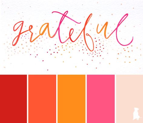 Coral Colour Palette, Bright Watercolor, Orange Pink Color, Orange Color Palettes, Office Color, Fiesta Tropical, Red Colour Palette, Color Palette Pink, Grey Color Scheme