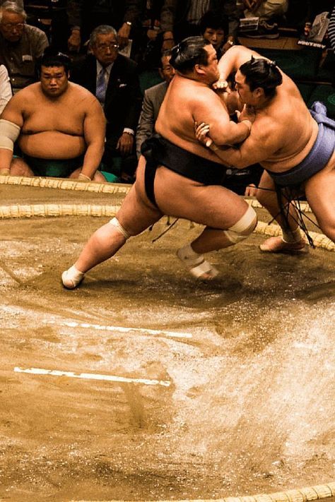 Thinking of seeing sumo when you visit Japan? Find out when & where the official sumo 'basho' tournaments take place, where to sit, how much tickets cost & more! Samurai Culture, Nature In Japan, Japanese Wrestling, Gesture Drawing Poses, Japan Places, Things To Do In Japan, Sumo Wrestler, Japan Destinations, Japan Travel Tips