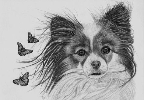 Butterfly Tattoos Images, Puppy Crafts, Dog Memorial Tattoos, Pet Drawing, Cat Paintings, Bob Ross Paintings, Papillon Dog, Laser Projects, Pets Drawing