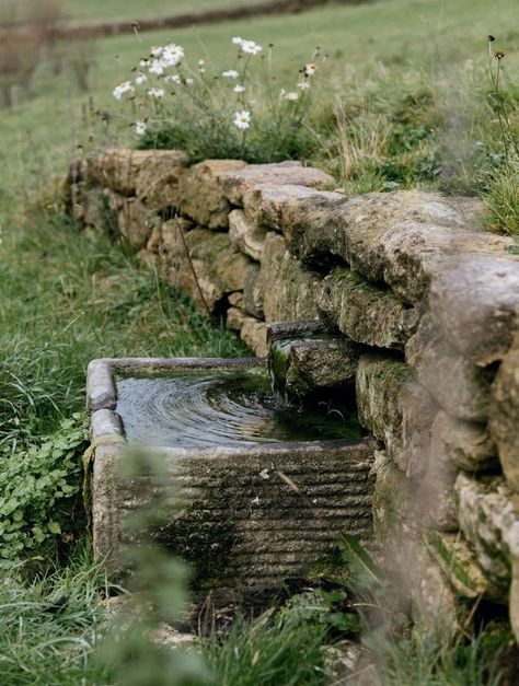 Water Basin Garden, Garden Stone Wall Ideas, Stone Walled Garden, Dan Pearson Garden Design, Bubbling Water Feature, Water In The Garden, Water In Garden, Dan Pearson Garden, Garden Rill