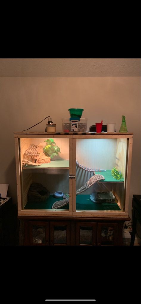 Custom build enclosure Build Bearded Dragon Enclosure, Bearded Dragon Terrarium Diy How To Build, Diy Bearded Dragon Enclosure Furniture, Diy Reptile Enclosure How To Build, Diy Bearded Dragon Enclosure How To Build, Breaded Dragon Tank Ideas Diy, Bearded Dragon Enclosure Ideas 4x2x2, Breaded Dragon Tank Ideas, Diy Reptile Enclosure