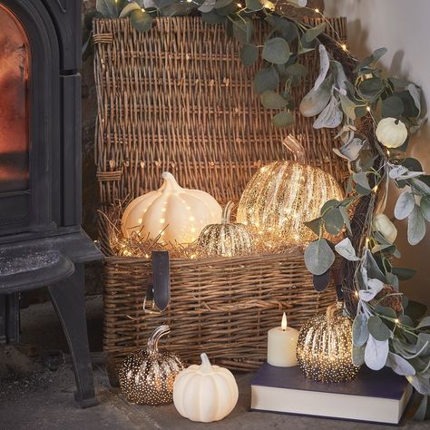 Pumpkin lights are the perfect alternative to carving your own! Our range of pumpkin lights make for cosy Autumn decorations as we move to the colder months. Pair with LED candles and microlights for a seasonal centrepiece in your home! Light Up Pumpkin Decor, Rattan Pumpkins, White Ceramic Pumpkins, Gold Pumpkin, Light Up Pumpkins, Ceramic Lantern, Ceramic Pumpkin, Gold Pumpkins, Autumn Decoration