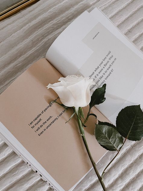 Growth , aesthetic , rose , white rose , books, white aesthetic , nude aesthetic , spiritual book, after the rain Book With Flowers Aesthetic, White Brown Aesthetic, One White Rose Aesthetic, White Aesthetic Book, White Roses Wallpaper Iphone, Flower And Book Aesthetic, White Books Aesthetic, White Book Aesthetic, White Rose Quotes