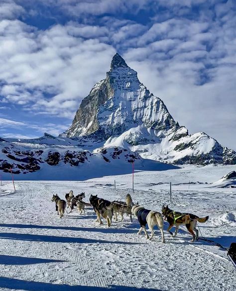 The Matterhorn, Zermatt Switzerland, Enter The Dragon, Pinterest Marketing Strategy, Wedding Planning Ideas, Zermatt, 2024 Wedding, Beautiful Pics, Increase Engagement