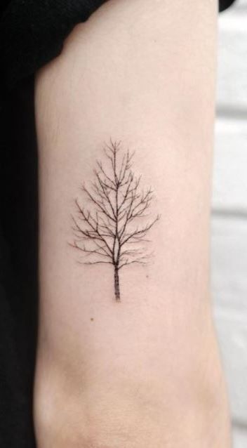 Nature Tattoos With Meaning, Elm Tree Tattoo Simple, Small Tree Tattoo Ideas, Tree With No Leaves Tattoo, Small Tree Tattoo For Men, Simple Tree Tattoo Men, Tree Tattoos Simple, Alaska Inspired Tattoos, Leafless Tree Tattoo