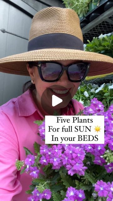 Carmen Johnston Gardens on Instagram: "Some of my favs for full sun ☀️" Carmen Johnston Gardens, Full Sun Planter Ideas, Sun Porch Decorating Ideas, Full Sun Landscaping Ideas, Full Sun Flower Bed Ideas, Full Sun Planters, Plants For Planters, Full Sun Landscaping, Full Sun Container Plants