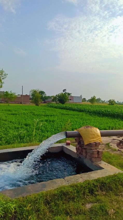 Irrigation System in Punjab's Villages by using Turbine (Motor) to irrigate the crops | Village Life | Nature | Aesthetics Views | Farming Village Life Pakistan Pictures, Village Morning Snapchat, Aesthetic Village Pictures, Village Pics In Pakistan, Pind Village Snap, Village Morning Snap, Beautiful Villages Nature, The Village Aesthetic, Village Snapchat Story