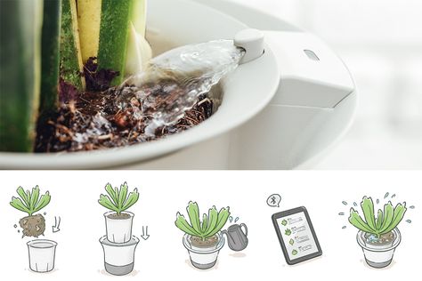 This smart gardening assistant solves the millennial problem of watering your plants while globetrotting! – Yanko Design Smart Gardening, Atmospheric Water Generator, Interior Light Fixtures, Plant Logos, Ivy Plants, Waste Container, Smart Garden, Plant Table, Plant Vase