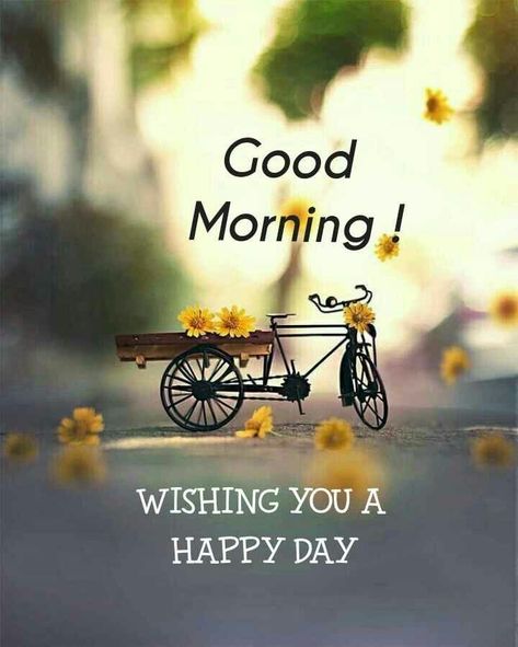 Bicycle With Flowers, Good Morning Animals, Good Morning To All, Beautiful Good Morning, Positive Good Morning Quotes, Good Morning Coffee Images, Good Morning Nature, Happy Sunday Quotes, Good Morning Flowers Quotes